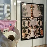 Piatra Craiului Cozy Flat