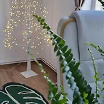 Piatra Craiului Cozy Flat Διαμέρισμα Τιμισοάρα