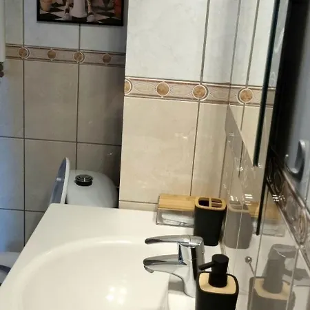 Piatra Craiului Cozy Flat Apartament Timişoara