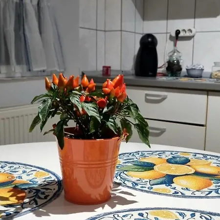 Daire Piatra Craiului Cozy Flat Temeşvar