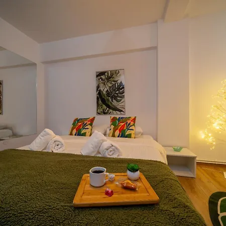 Piatra Craiului Cozy Flat Temeşvar