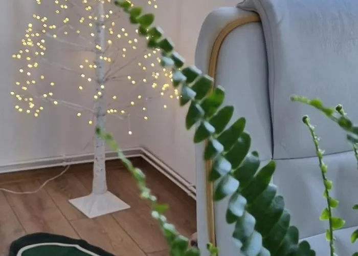 Piatra Craiului Cozy Flat Apartament Timişoara