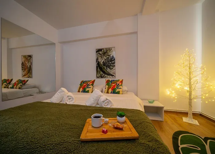 Piatra Craiului Cozy Flat Timişoara