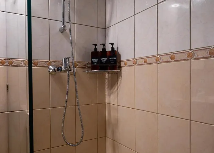 Piatra Craiului Cozy Flat Timişoara