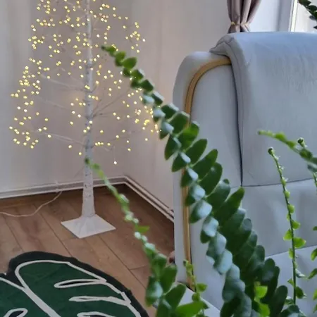 Piatra Craiului Cozy Flat Appartement Timişoara