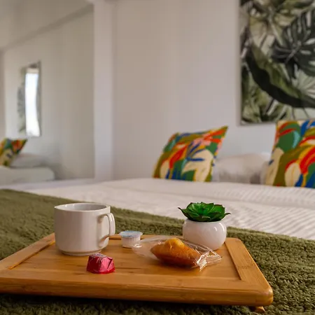 Appartement Piatra Craiului Cozy Flat Timişoara