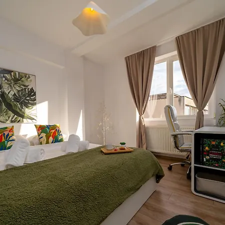 Appartement Piatra Craiului Cozy Flat *