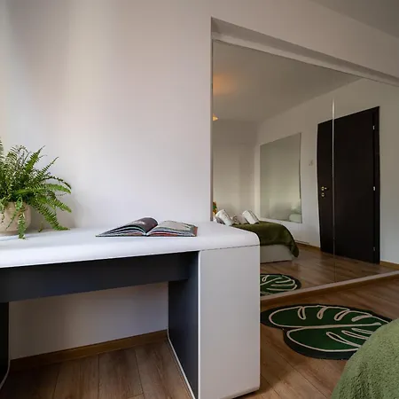 Piatra Craiului Cozy Flat * Timişoara