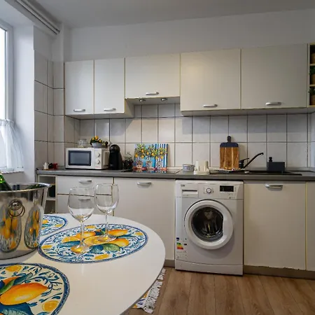 Piatra Craiului Cozy Flat Timişoara