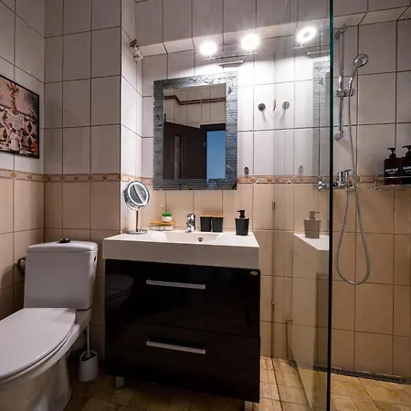 Piatra Craiului Cozy Flat Timişoara